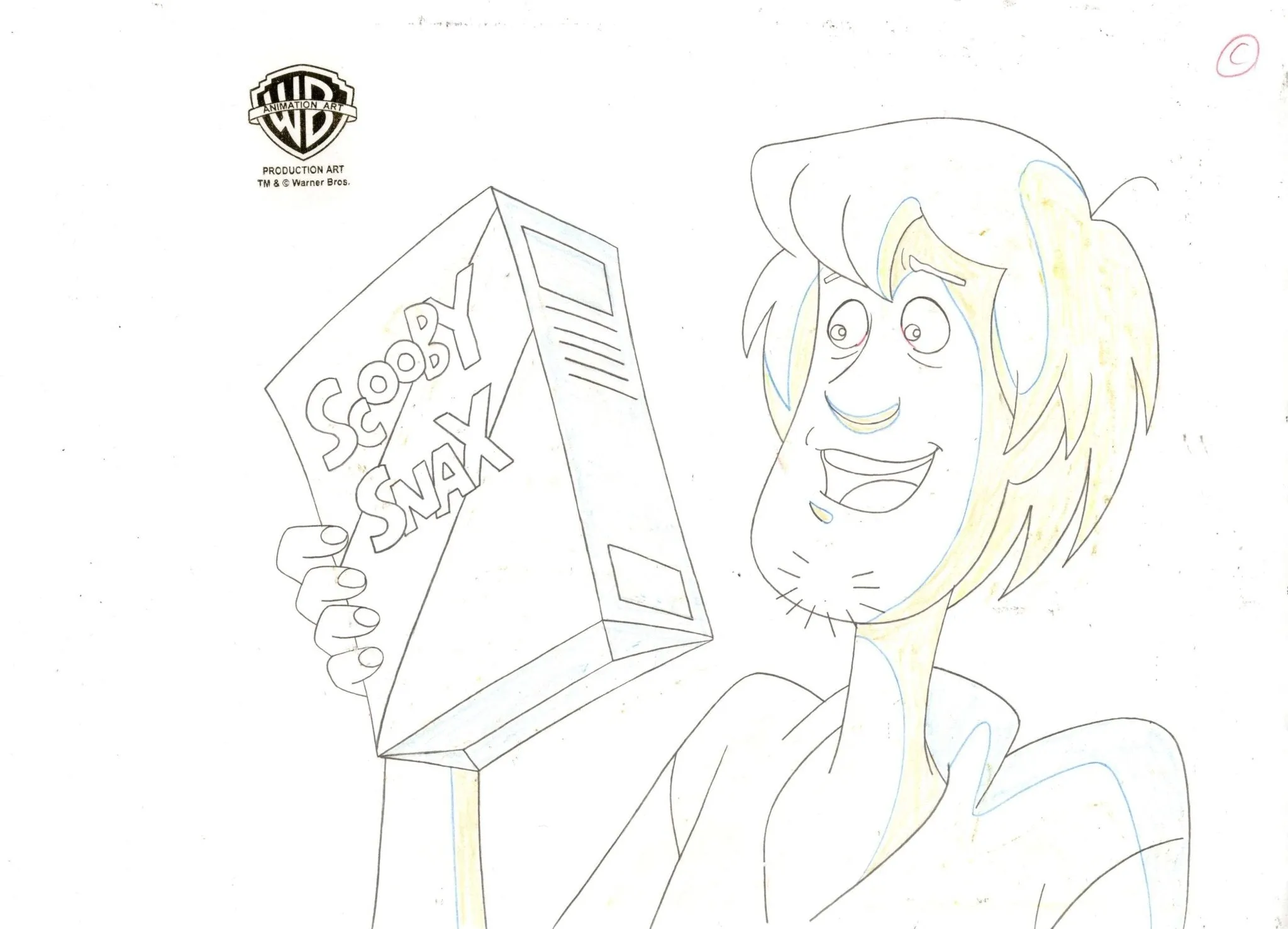 Scooby-Doo on Zombie Island Original Production Cel With Matching Drawing: Shaggy